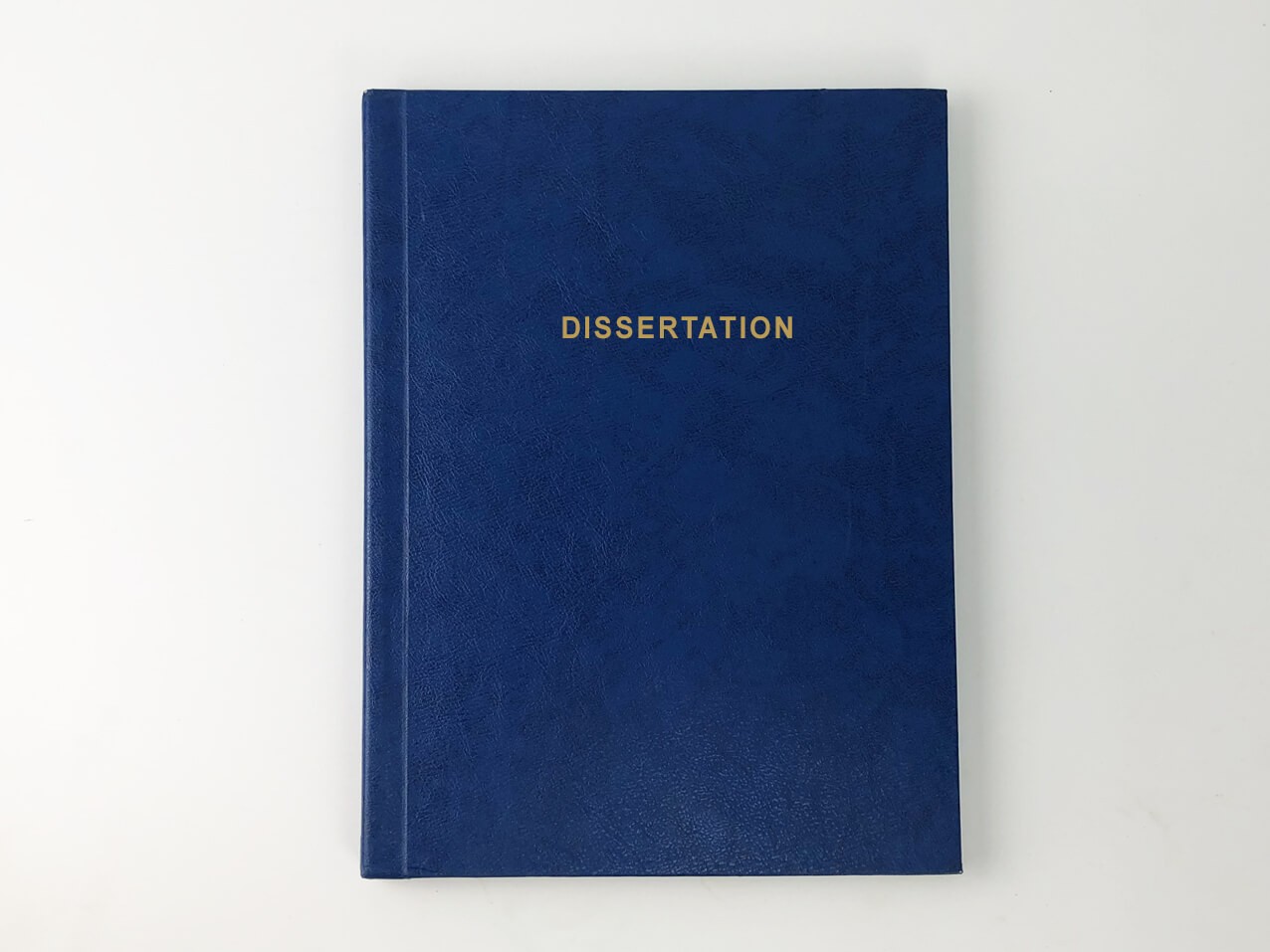 Buch LEDER Dissertation Abschlußarbeit